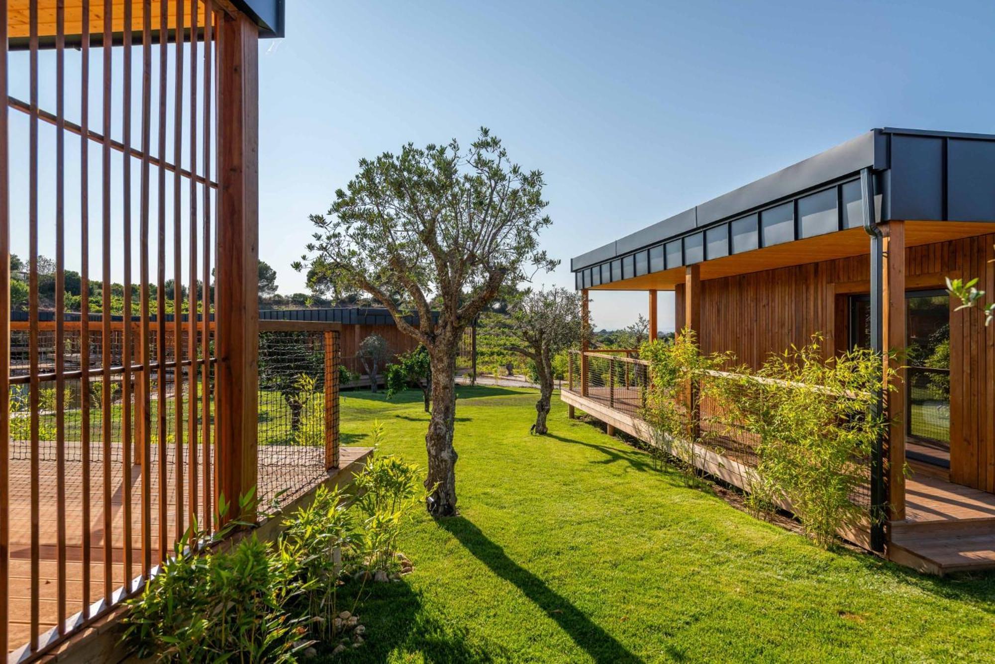 Wecamp Reserva Alecrim Santiago do Cacém Εξωτερικό φωτογραφία